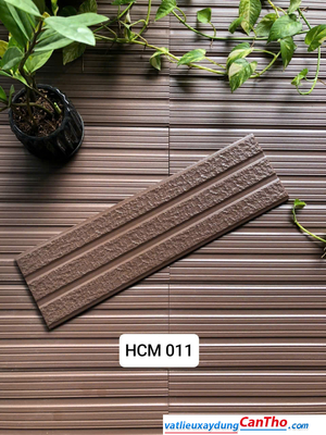 Việt Nhật HCM 011